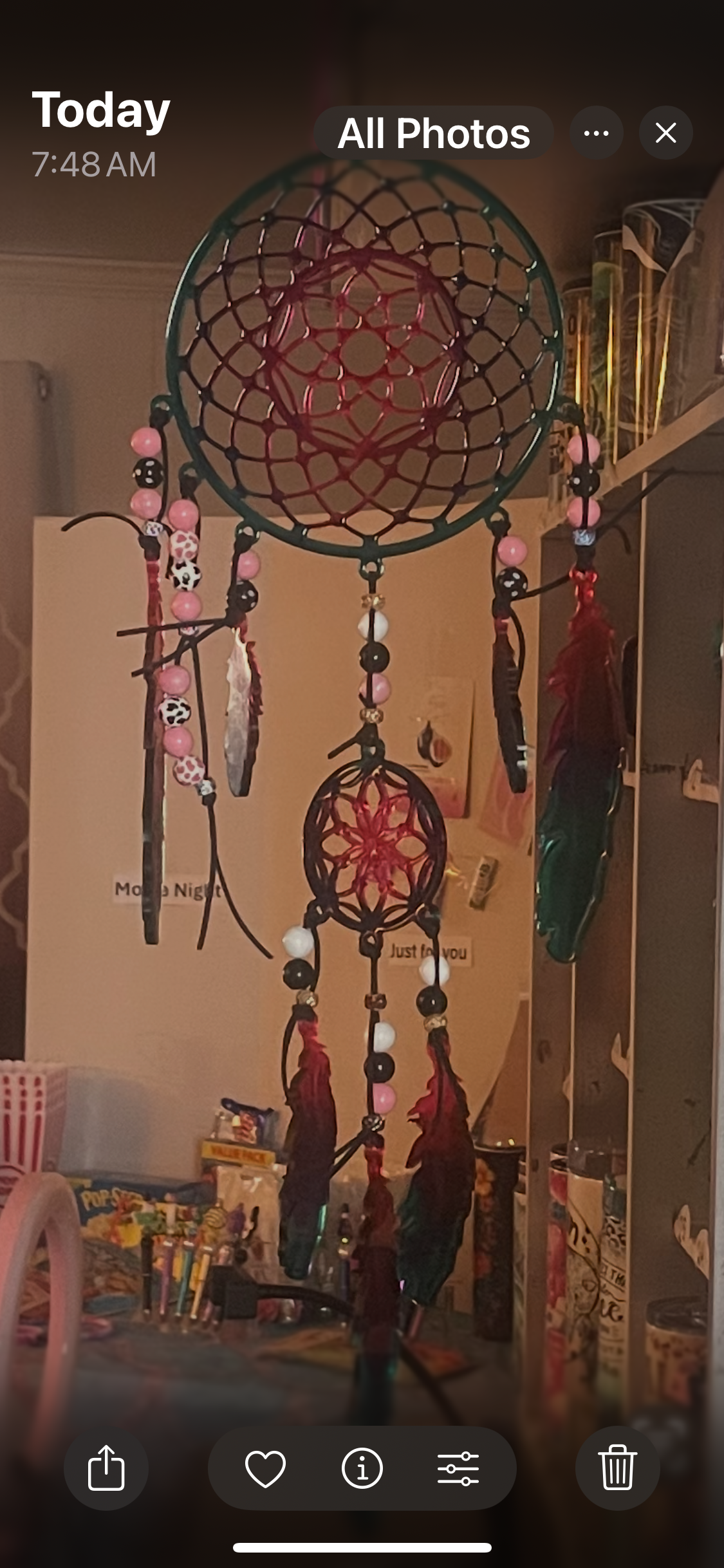 Dream Catcher