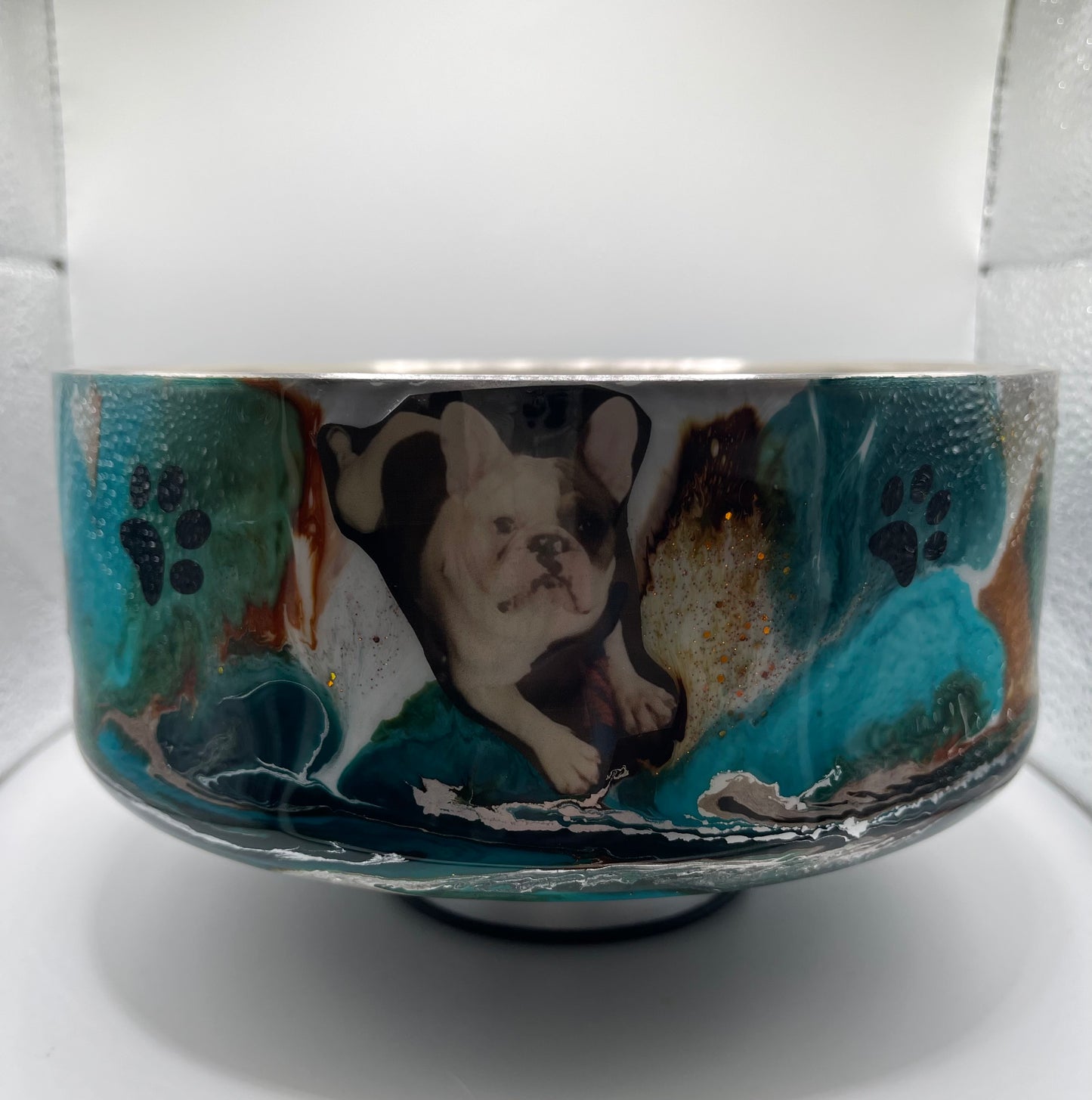 Dog Bowl